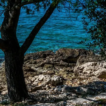 Ducina Appartement Milna (Brac)