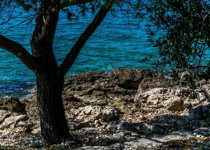 Ducina Apartman Milna (Brac)